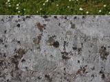 image of grave number 833542